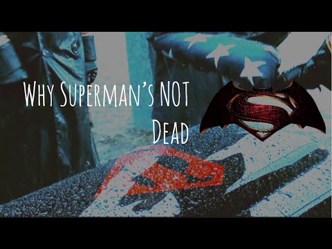 batman is better than superman essay batman is better than superman essay