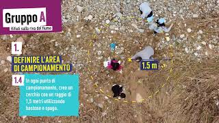 ITA Plastic Pirates Gruppo A