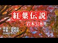 岩本公水「紅葉伝説」coverちえこ 1997年7月24日発売
