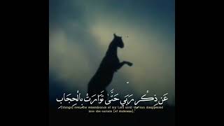 Surah SAD | By Qari Ismail Mohmand ||القاری اسماعیل مهمند