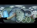 Всем дохлых зверей в 360° видео!