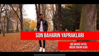 SON BAHARIN YAPRAKLARI ERKAN ACAR Resimi