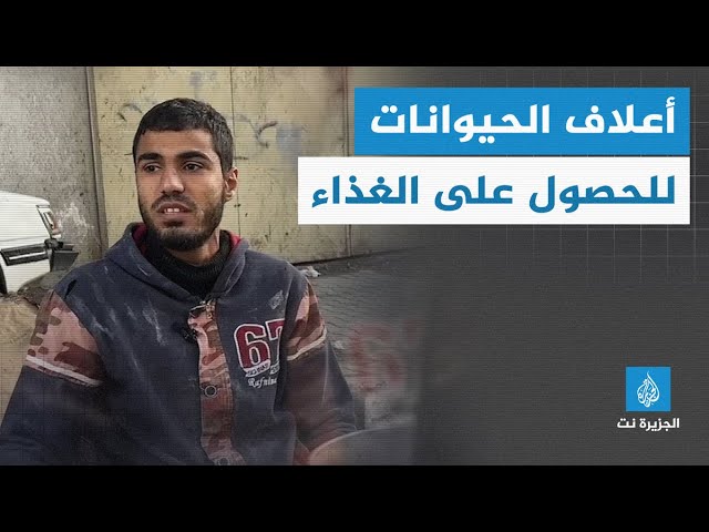 عائلات من مدينة #غزة تلجأ إلى أعلاف الحيوانات للحصول على الطعام وإعداد الخبز