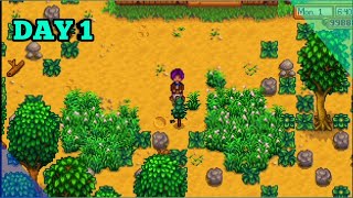 "Embarking on a Rural Adventure: Stardew Valley's Inaugural Day"