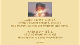 Hou Lai Yu Jian Ta 后来遇见他 || Lyric Pinyin [Ind Sub]