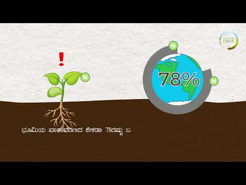 Soil Microorganisms | Nitrogen Fixing Bacteria