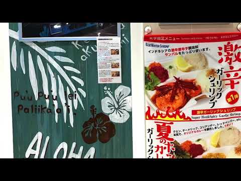 ブルーウォーターシュリンプ