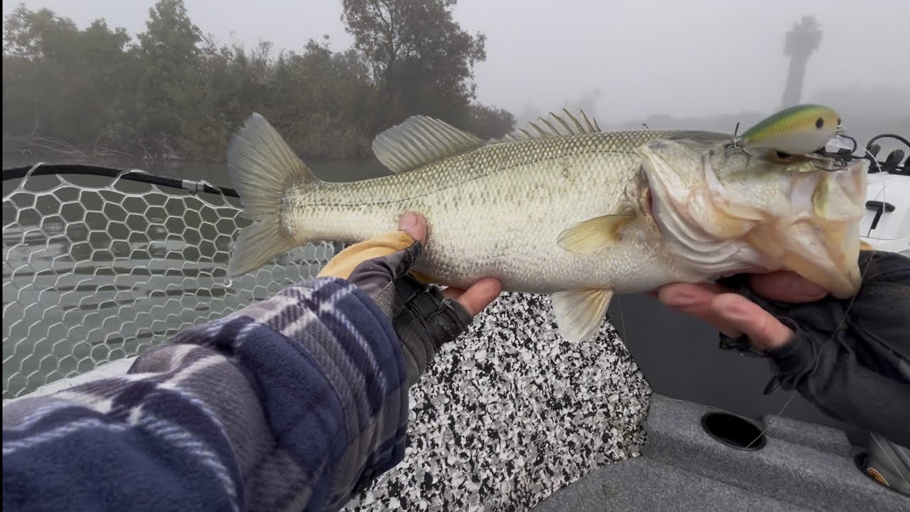 Santa Fe Dam Bass Fishing
