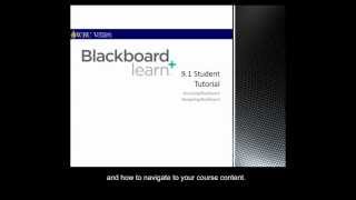 Introduction to Blackboard - Wayland Baptist University (for Students)