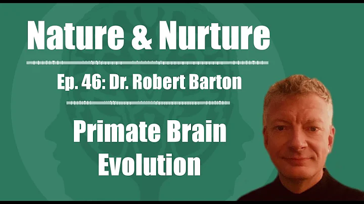Nature & Nurture #46: Dr. Robert Barton - Primate ...