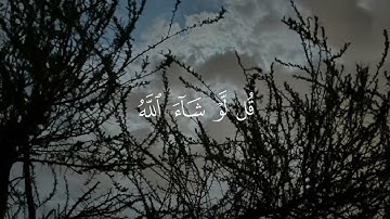 ‏الشيخ ياسر الدوسري سورة يونس آية 16 ￼￼