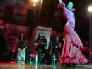 Flamenco dancing, Corral de la Pacheca, Madrid