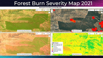 Mafungautsi Forest Burn Severity Map 2021