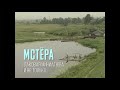 Мстёра. Лаковая миниатюра и не только