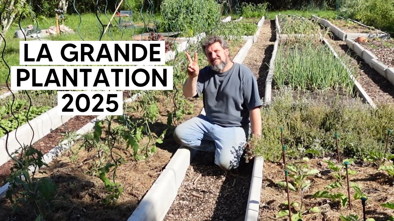L'état du potager une semaine après la grêle (La grande Plantation 2025)