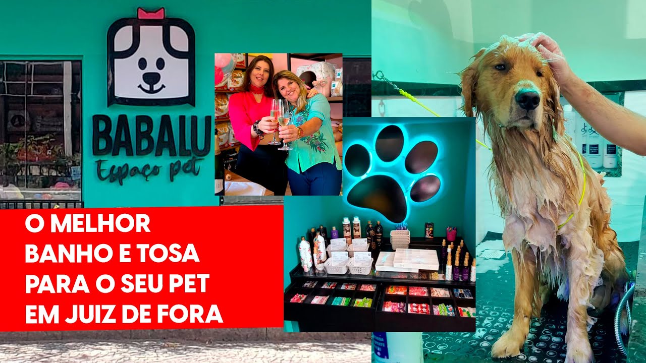 O melhor Pet Shop com banho e tosa em Juiz de Fora - Babalu Espaço Pet ...