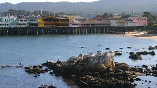 Monterey, California Moments