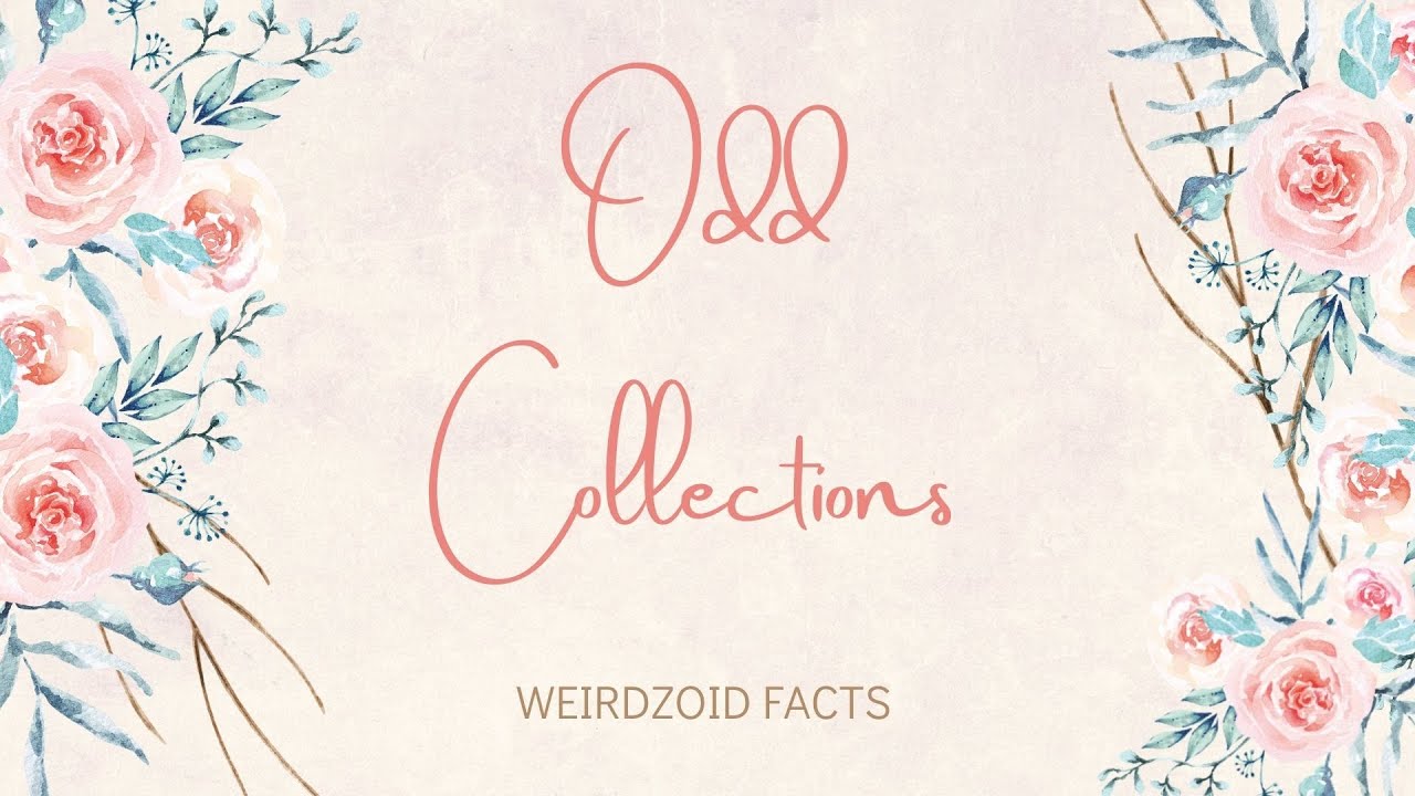 ODD COLLECTIONS  | BelieveItorNot | OddCollections | ElectrifyngTruths | Facts | Weird 