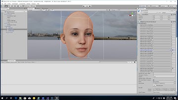 Auto Wrinkle