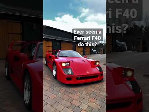 Ever seen a Ferrari F40 do this? #ferrari #supercars #carslover