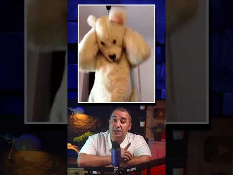 لقد علق في بدلة الدب