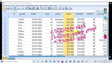 SPSS Tutorial3፡ Recoding Variable(በአማርኛ)