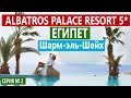 ЕГИПЕТ Albatros Palace обзор отеля. НОМЕР, БАРЫ, ЕДА. КАЧЕСТВЕННЫЙ ХОРОШИЙ ОТЕЛЬ 5* В ШАРМЕ