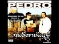 Pedro - Wartstrass (feat. T-Rex)