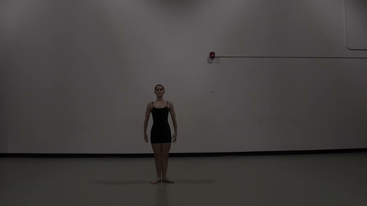 Springboard Danse Audition - Combined Centrework