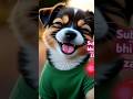 dog gareb