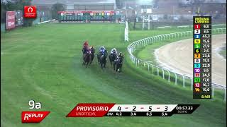 Vidéo de la course PMU PREMIO MAMULINA