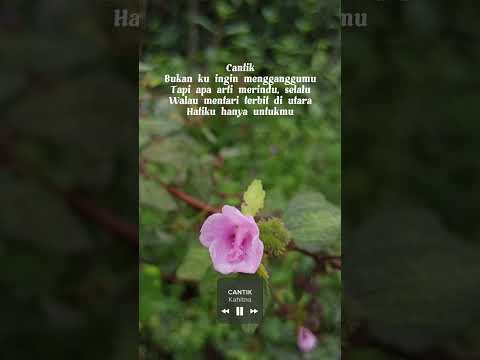 Cantik (Kahitna), #kahitna #cantik #beautiful #music #lirik
