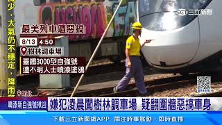 潔白車身慘變畫布　台鐵EMU3000遭惡意塗鴉│94看新聞