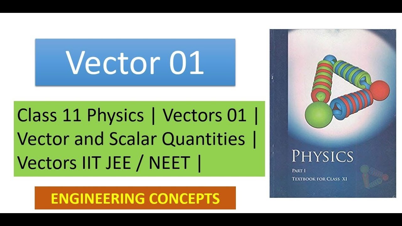 Class 11 Physics || Vectors 01 || Vector and Scalar Quantities ...
