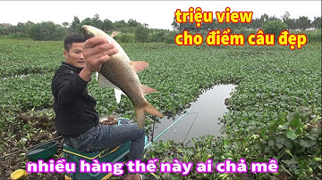 điểm câu tự nhiên triệu view vì nhiều ẩn số khủng / câu cá diếc mà va toàn hàng khủng