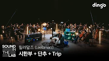 릴러말즈 Leellamarz 시한부 단추 Trip 사운드인더랩 황홀한 오케스트라 세션 라이브