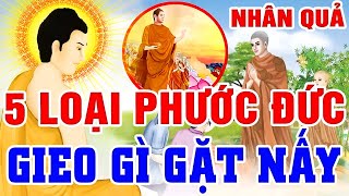 Chuyện Nhân Quả 2024 Hay Nhất, 5 LOẠI PHƯỚC ĐỨC Hết Phước NGHIỆP SẼ ĐẾN | Gieo Nhân Nào Gặt Quả Nấy