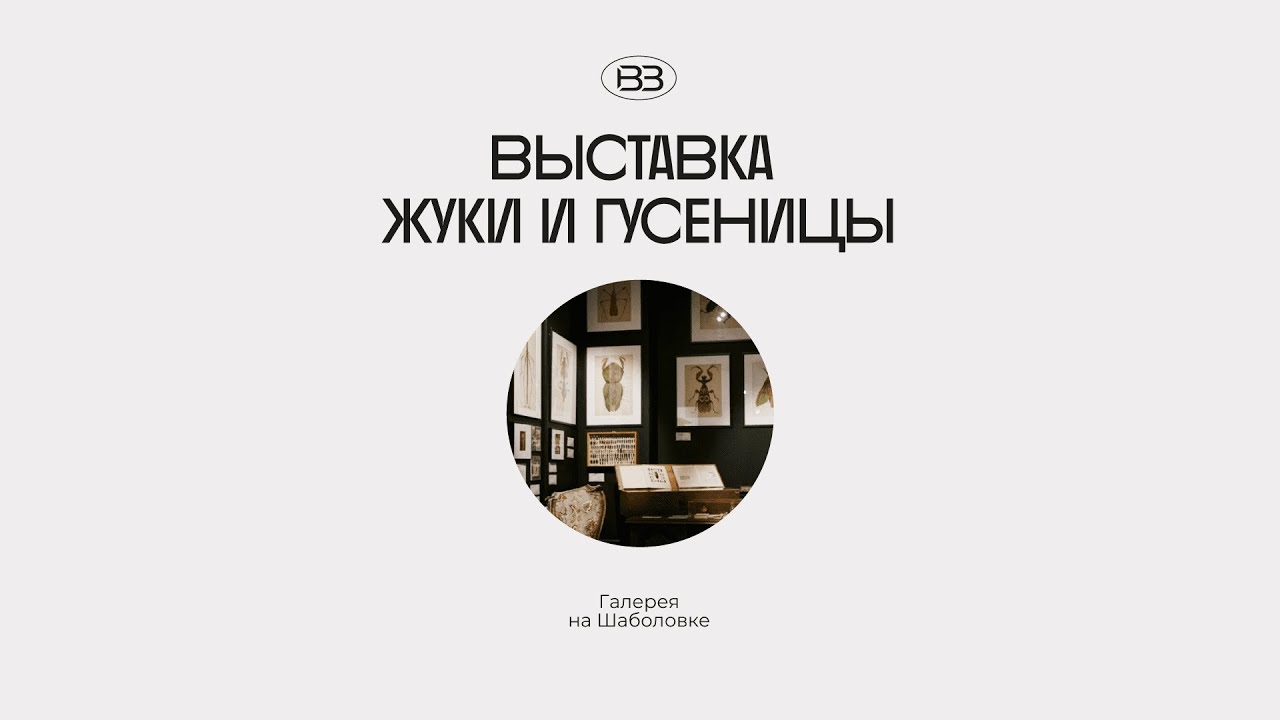 Выставка «Жуки и гусеницы». Галерея «На Шаболовке» - YouTube