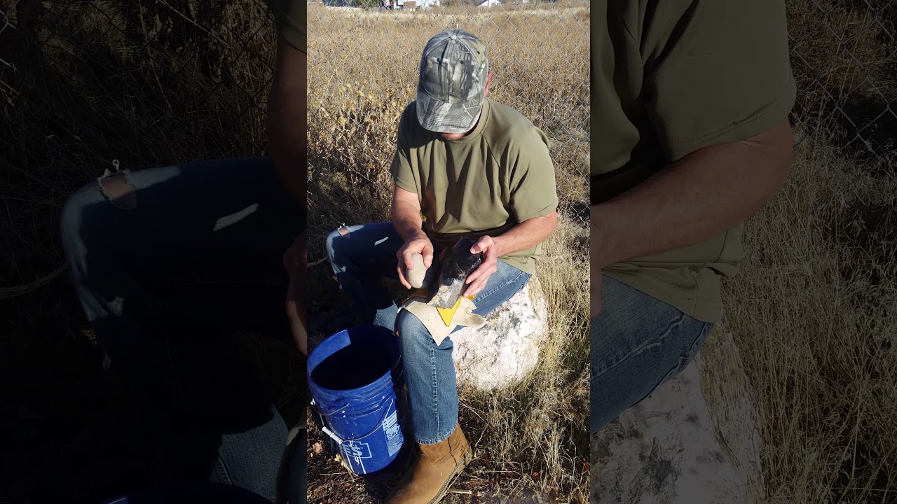 Spalling obsidian for knapping