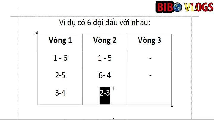 Có tất cả bao nhiêu vòng đấu trong một năm 2024