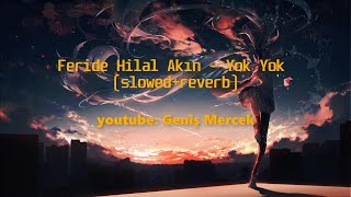 Feride Hilal Akın - Yok Yok ( slowed + reverb )