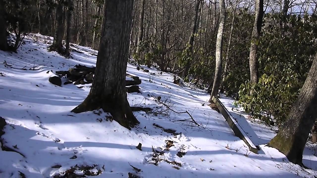 Thanksgiving AT Hike with the Kiddos! YouTube