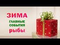 РЫБЫ 🎄 ЗИМА 🎄 ДЕКАБРЬ ЯНВАРЬ ФЕВРАЛЬ. Таро прогноз гороскоп гадание