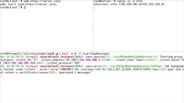 HTTPS proxy - One-Sided SSL - Zorp GPL