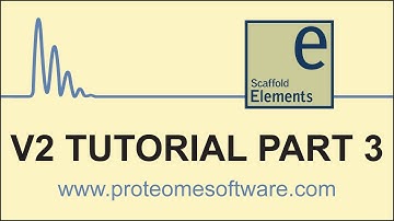 Scaffold Elements 2 Tutorial 3: Statistical Analysis in Scaffold Elements