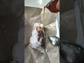 Jajan Pasar 6K IDR: Ketan Ireng, Putih, Jenang Sumsum. Pasar Gresik Kota