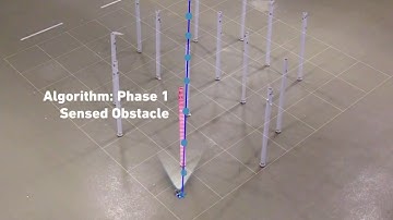DRL based Aggressive Collision Avoidance with Limited FOV under Dynamic Constraints