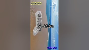 مقطع من سورة المائدة بصوت الشيخ محمد المحيسني @almohisni2011