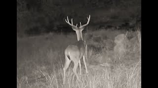 Central Texas Trail Cam., Dry Creek Crossing 2022