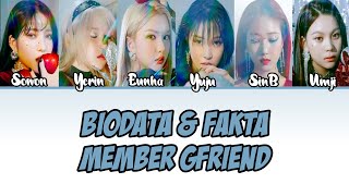 Biodata & Fakta Member GFriend